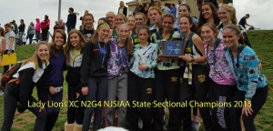 NHHS-GirlsXC-N2G4-SectionalChamps-2015