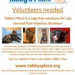 Tabby's Place