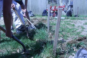 April 2013 Shovels in Dirt