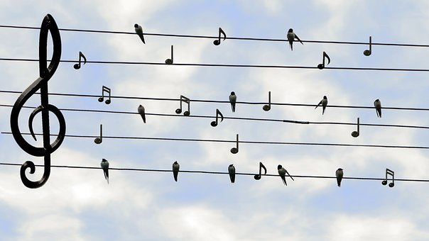 Upcoming NHHS Music Department Concert