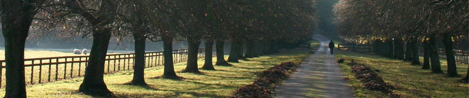 Voorhees Fencing
