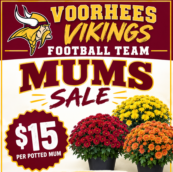 Vikings Football Mums Sale